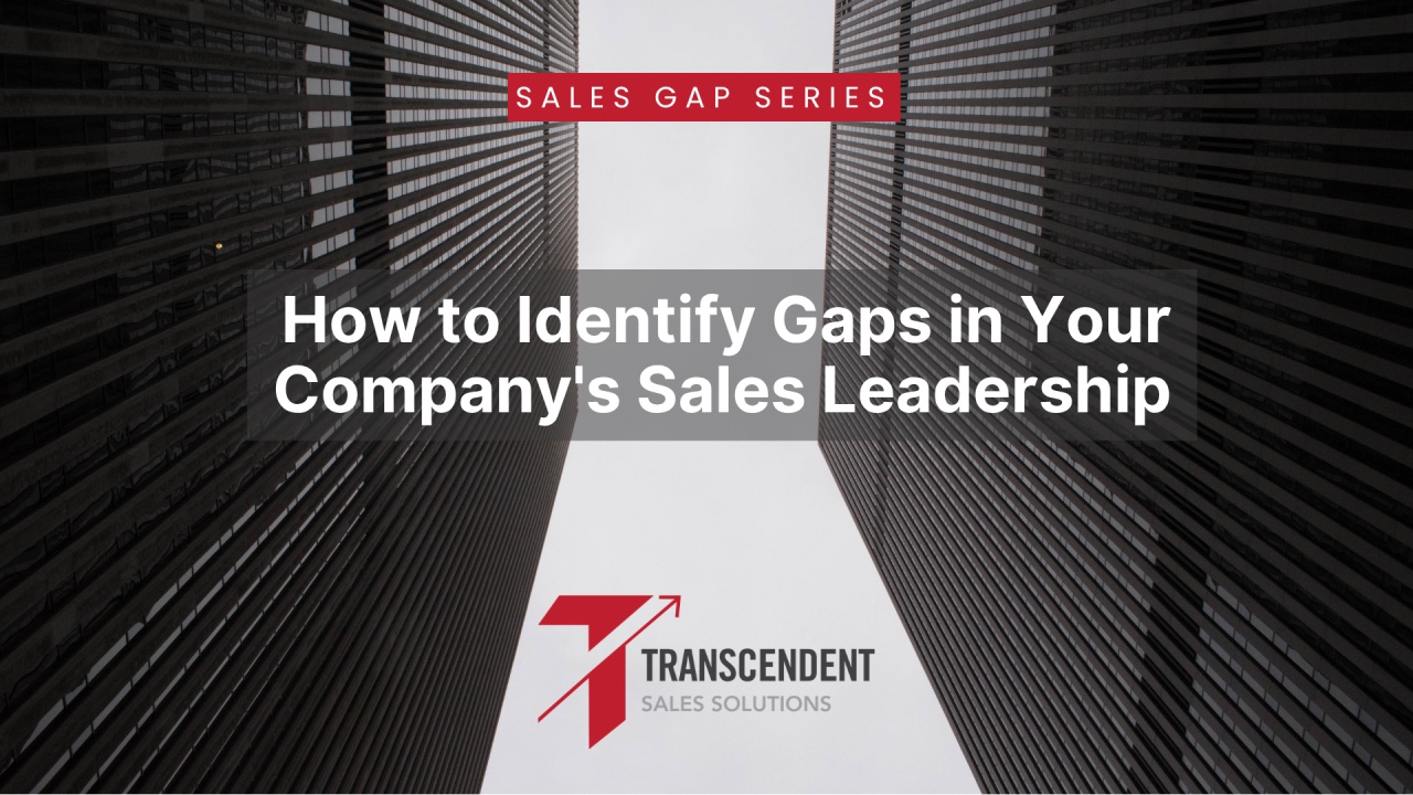 How to Identify Gaps in Your Company's Sales Leadership — Transcendent Sales Solutions, Sales Gap Series